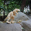 Tyrannosaurus Rex